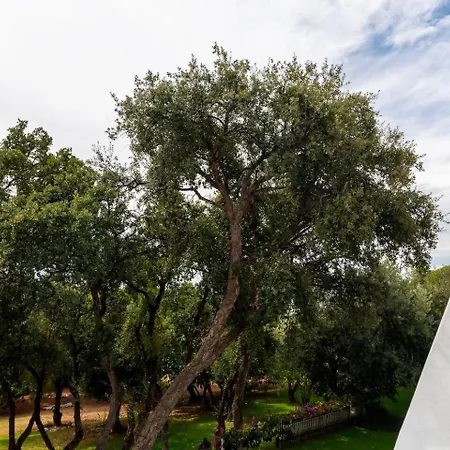 Oasis Junto Al Mar En Estepona