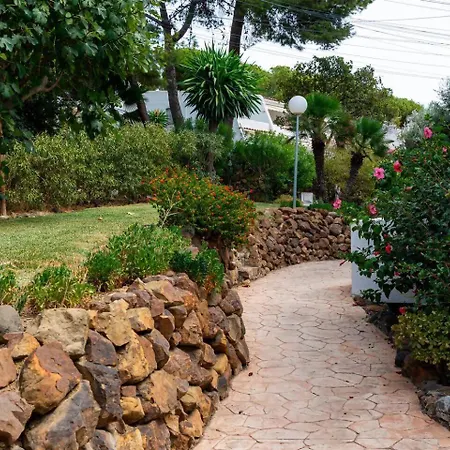 Oasis Junto Al Mar En