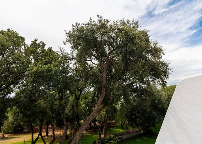 Oasis Junto Al Mar En Estepona