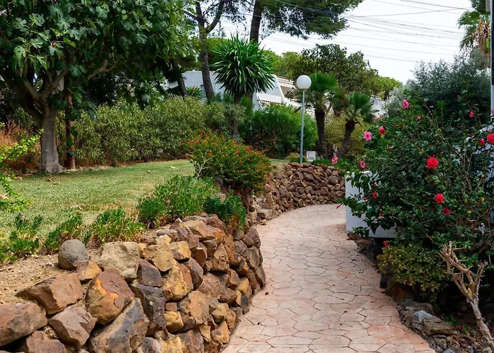 Oasis Junto Al Mar En